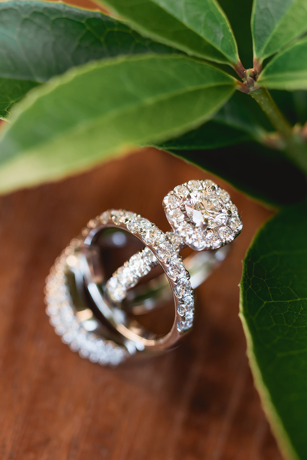 Halo diamond ring set with greenery on wood