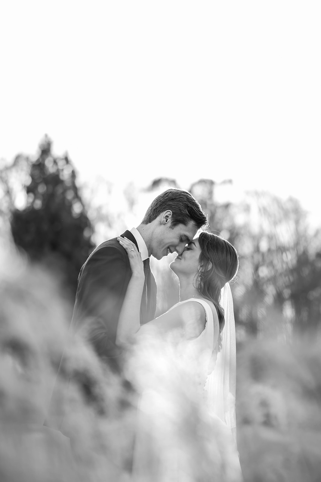 Couple intimate black and white portrait in tall grass bokeh